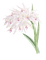kwiat - png gratis GIF animasi