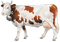 vache - png gratis GIF animasi