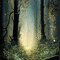 Fondo bosque - Free animated GIF