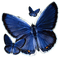 Kaz_Creations Deco Butterflies Blue