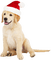 Santa Pup - PNG gratuit GIF animé