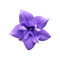 kikkapink deco scrap purple flower - PNG gratuit GIF animé