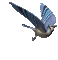 Pássaro - Nemokamas animacinis gif animuotas GIF