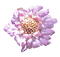 kukka, flower, fleur - δωρεάν png κινούμενο GIF