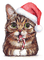 Lil Bub Santa - zadarmo png animovaný GIF