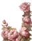 vintage fleurs roses - 免费PNG 动画 GIF