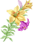 fleur jaune.Cheyenne63 - png grátis Gif Animado