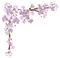 Kaz_Creations Spring Flowers