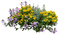 Pflanze - png gratuito GIF animata
