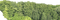 Wald - png gratuito GIF animata