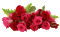 Букет алых роз - Bezmaksas animēts GIF animēts GIF