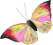 butterfly - png gratuito GIF animata