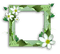 Flower Frame Green - zadarmo png animovaný GIF