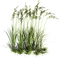 grass - ilmainen png animoitu GIF
