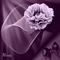 bg-purple-flower - ilmainen png animoitu GIF
