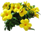 flores - gratis png animeret GIF