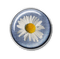 Jeans Button Blue Daisy White Yellow - Bogusia - δωρεάν png κινούμενο GIF