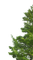 träd--- tree - безплатен png анимиран GIF