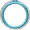 Frame. Circle. Turquoise. White. Leila - PNG gratuit GIF animé