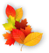 Autumn Bb2 - 免费PNG 动画 GIF