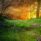 spring background - png gratis GIF animasi