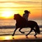 femme cheval coucher de soleil fond