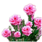 Pink flowers - png gratis GIF animado