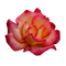 dulcineia8 rosas - Free PNG Animated GIF