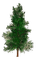 Arbre - Free PNG Animated GIF