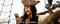 pirates des Caraîbes captaine jack - Free animated GIF Animated GIF