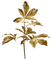 autumn branch by nataliplus - png grátis Gif Animado