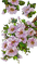 spring flowers - PNG gratuit GIF animé