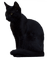 Cats'n'Kittens - Free PNG Animated GIF
