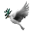 oiseau - Безплатен анимиран GIF анимиран GIF