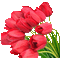 Frühling, Blumen - 無料のアニメーション GIF アニメーションGIF