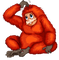 Kaz_Creations Animals Monkey - nemokama png animuotas GIF
