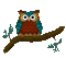 owl in tree - GIF animate gratis GIF animata