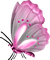 papillon.Cheyenne63 - Free PNG Animated GIF