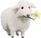 Sheep.Mouton.Lamb.Oveja.Victoriabea - gratis png animerad GIF