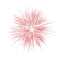 Kaz_Creations America 4th July Independance Day American Fireworks - png grátis Gif Animado