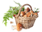 champignon - δωρεάν png κινούμενο GIF