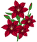 Kaz_Creations Flowers Flower - bezmaksas png animēts GIF