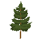 Camping Christmas Tree - Δωρεάν κινούμενο GIF κινούμενο GIF
