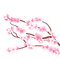 Branch pink flowers cherry blossom