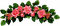 dolceluna border roses flowers - gratis png animeret GIF