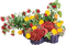 bouquet2 - 免费PNG 动画 GIF