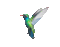 hummingbird - Darmowy animowany GIF animowany gif