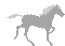 Et encor un cheval qui court - Gratis geanimeerde GIF geanimeerde GIF