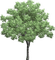 arbol paisaje - darmowe png animowany gif