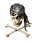 pirata by EstrellaCristal - Free PNG Animated GIF